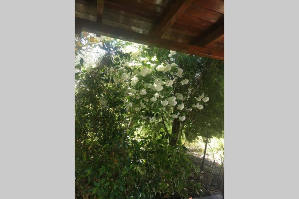 Irinis Cottage Kala Nera Luaran gambar
