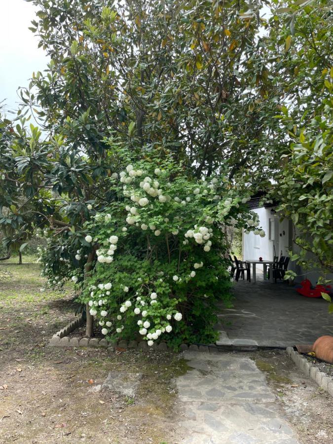 Irinis Cottage Kala Nera Luaran gambar