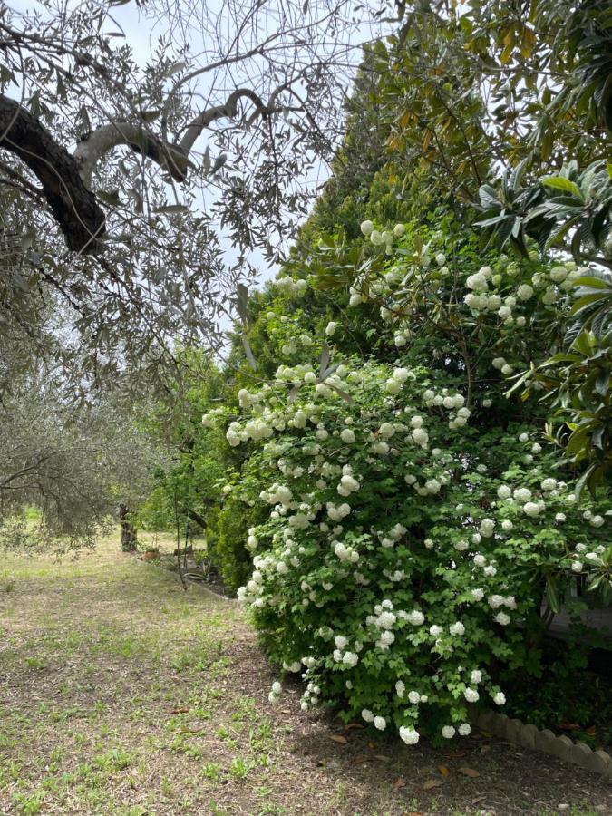 Irinis Cottage Kala Nera Luaran gambar